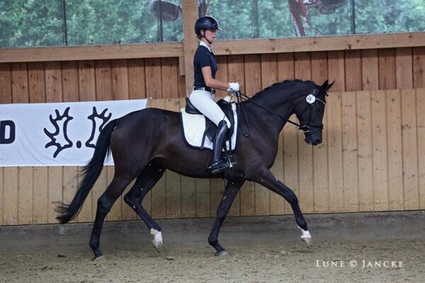 Naya SLP Siegerin 2023